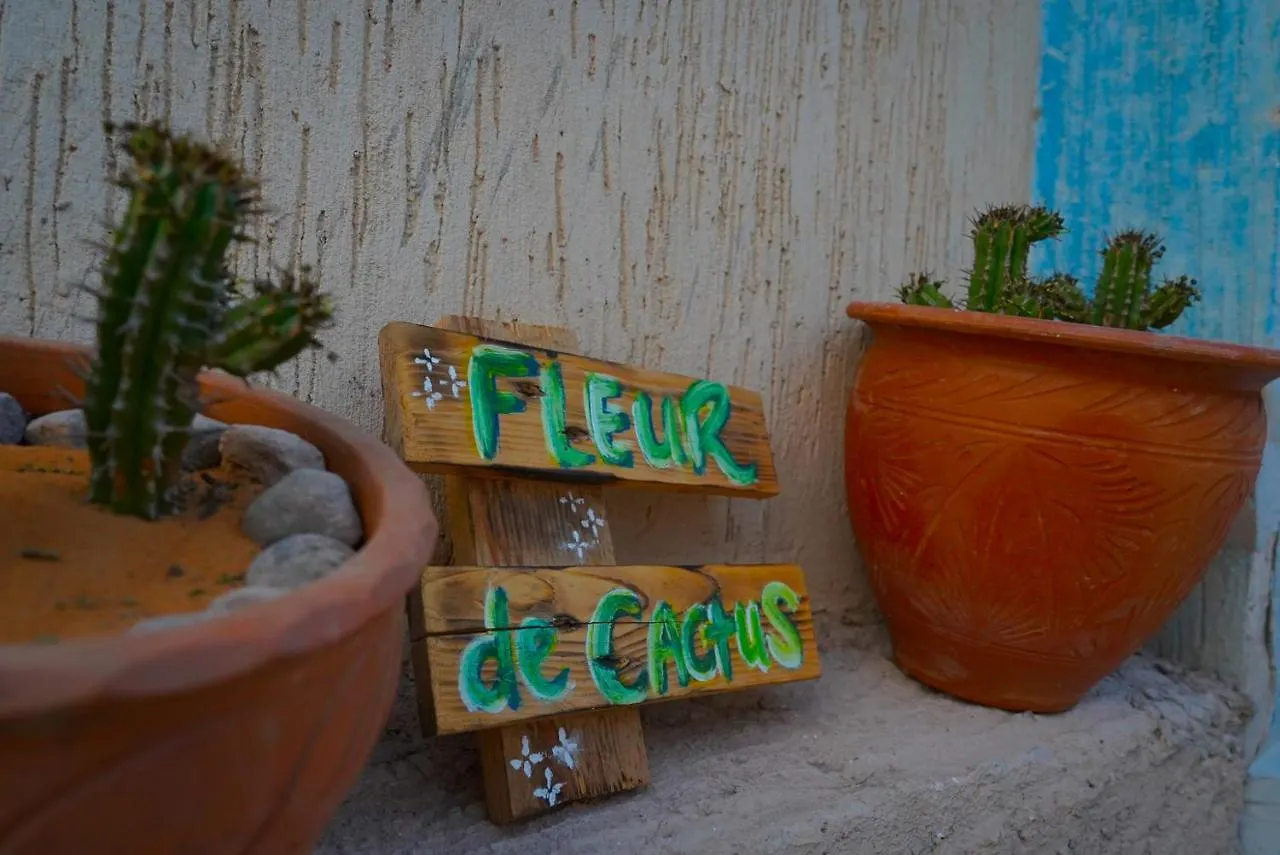 Fleur De Cactus, Guesthouse, Tamraght Marokko